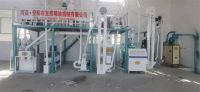10噸玉米糝、粉聯(lián)產生產線  日產